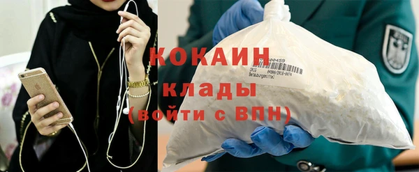 сатива Кущёвская