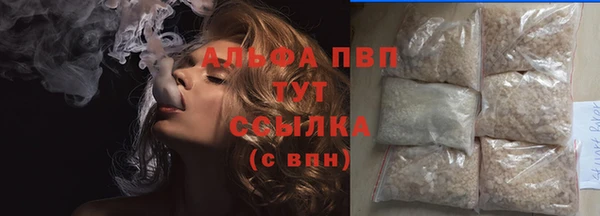 гашик Надым