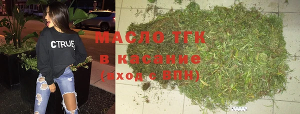 гашик Надым