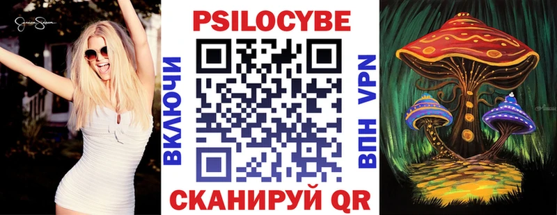 где купить   блэк спрут ONION  Псилоцибиновые грибы Psilocybe  Грайворон 